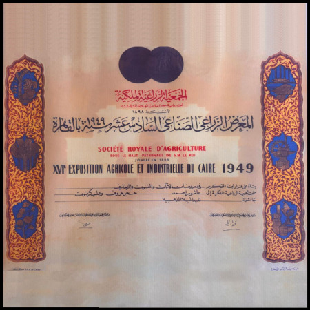 Experience Certificates