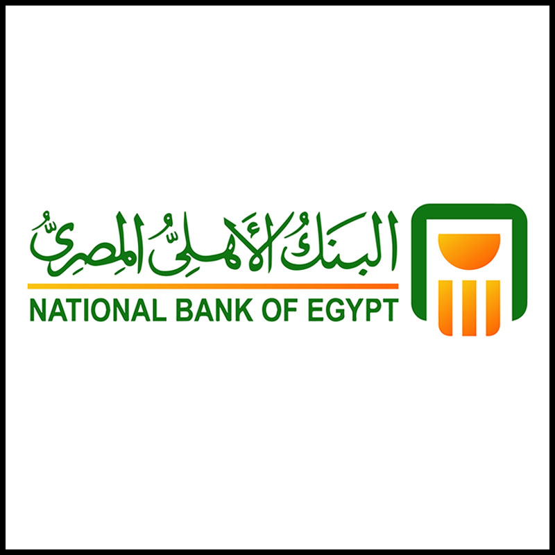 NATIONAL BANK OF EGYPT LOGO